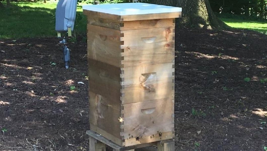 CATCH THE BUZZ – Beehive 2: Beehive installed at vice president’s house, joining White House