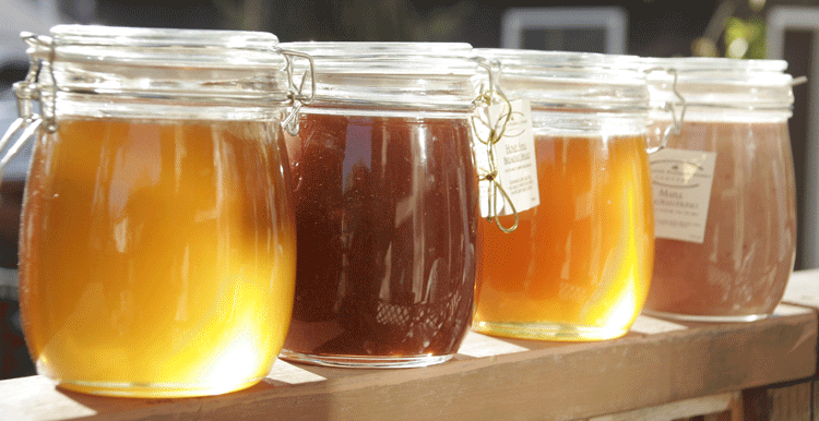 Queen Bee 3-Jar Bulk Honey Bundle - Buy 2 Get 1 FREE - Go Raw Honey