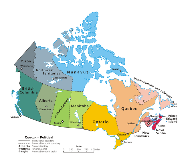 CATCH THE BUZZ – Quarantine Area In The Peace River Region, And New Brunswick, Established For Small Hive Beetle