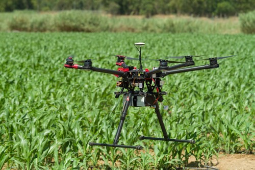 CATCH THE BUZZ – Knowing the Rules for Drones in Agriculture