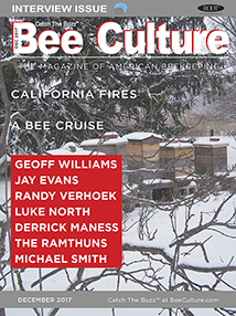 DEC 2017 Cover