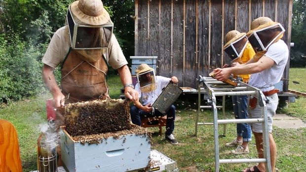 CATCH THE BUZZ -Honey Production Down As Rain Dampens Beehive Libido. Warm Fall Weather Helps Save Season.