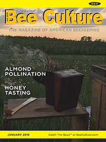 JAN 2018 Cover
