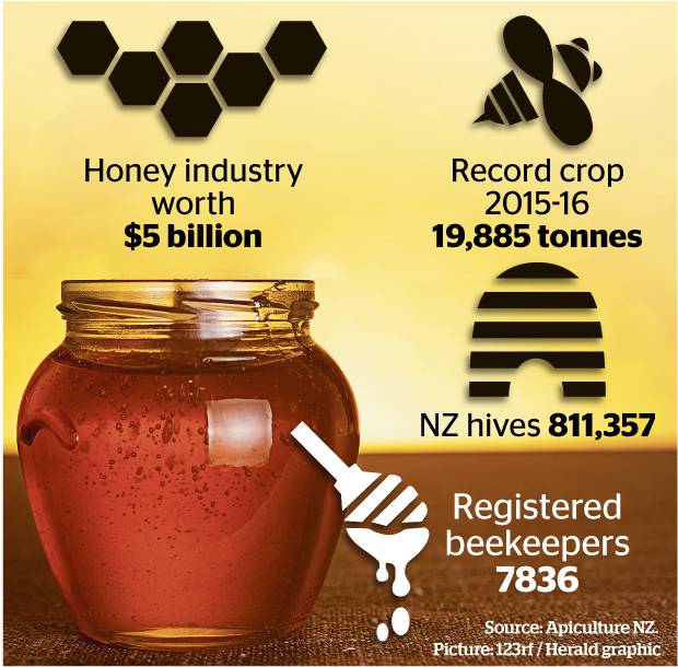 CATCH THE BUZZ – Good Honey Crop Expected in New Zealand after Dismal 2017.