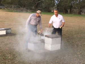 CATCH THE BUZZ – Florida Beekeepers: ‘Fewer Bees Could Spell Higher Prices for Food’