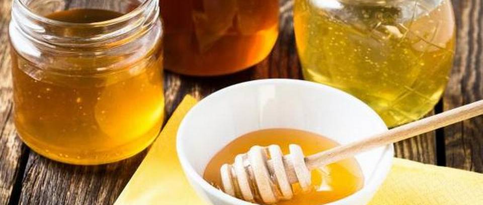 CATCH THE BUZZ – Scientists Developing Kits to Test and Grade Honey.