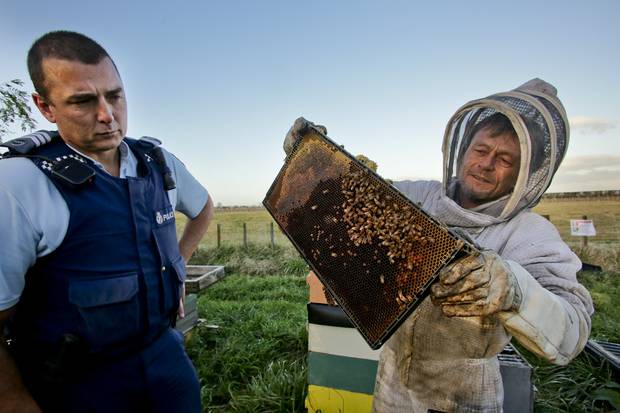 CATCH THE BUZZ – NZ’s Honey Industry is Booming, Which Has Led to Brazen Thefts Which Police Believe May Be The Work of Organized Crime Groups.