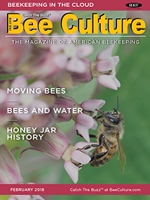FEB 2018 Cover
