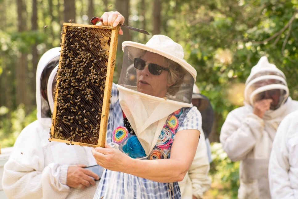 CATCH THE BUZZ – Queen Rearing Class with Jennifer Berry. Don’t miss this opportunity!