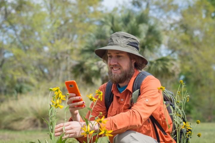 CATCH THE BUZZ – Declining Bee Population to Get Helping Hand with National Project.