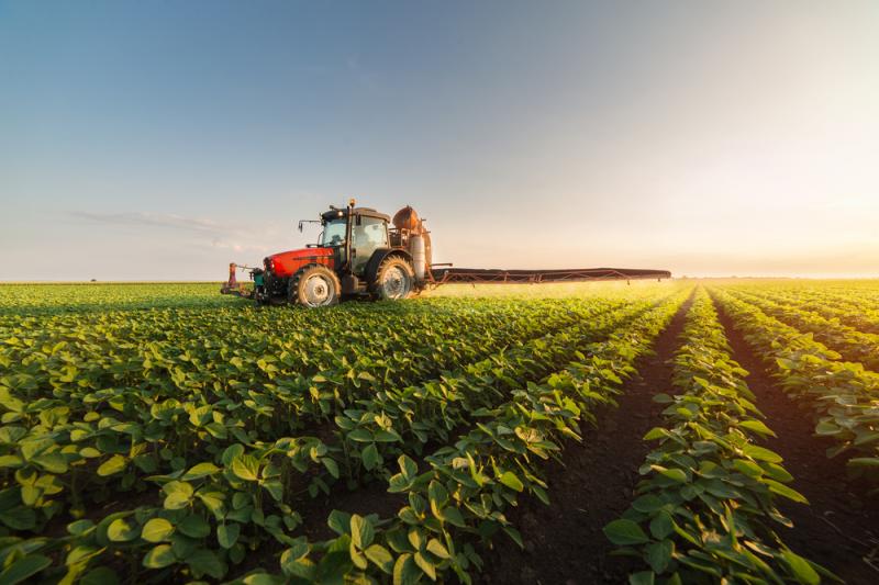 CATCH THE BUZZ – A Novel Vaccine Could Replace Traditional Pesticides In Protecting Crops And Other Plants.