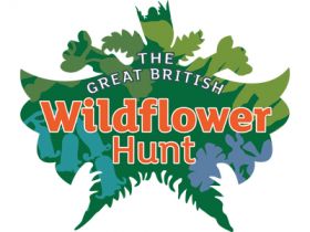 CATCH THE BUZZ – The Great British Wildflower Hunt – To Pick, or Not To Pick. That is the Question.