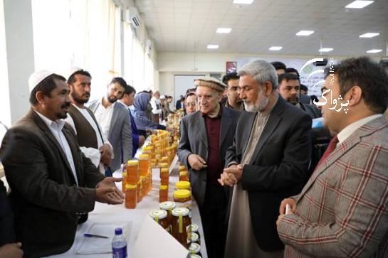 CATCH THE BUZZ – Afghanistan Has Capacity of Producing 11,000 Tons Honey a Year.