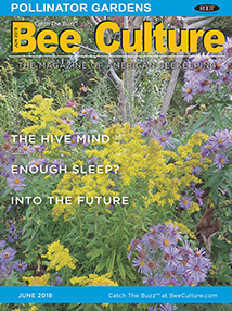 JUNE 2018 Cover