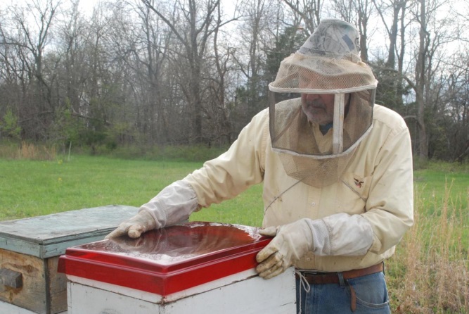 CATCH THE BUZZ – New Cover Lets in Only Red Light, and Keeps Small Hive Beetles Out.