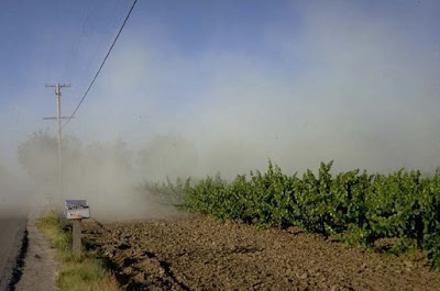 CATCH THE BUZZ – Nationwide Reveals Most Common Agribusiness Insurance Claims. Motor Vehicle Accidents are the Number One, but spray drift is Number Three!!