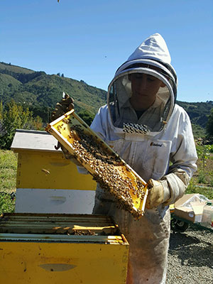 CATCH THE BUZZ – Six Reasons Why You Should Apply for the Young Beekeeper Award.