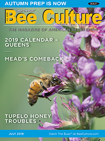 JULY 2018 Cover