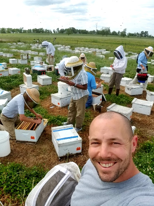 CATCH THE BUZZ – Two Healthy Bees 2020 Webinars During Pollinator Week. Commercial Beekeeping Plans and Deformed Wing Virus Update.