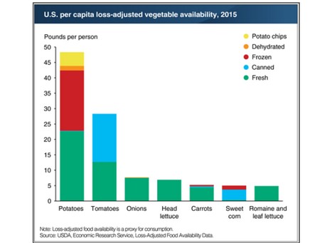 CATCH THE BUZZ – USDA: Potatoes, Tomatoes and 5 More, Are America’s Top Vegetable Choices. None Need Honey Bees.