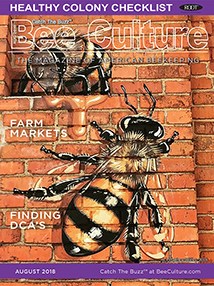 AUGUST 2018 Cover