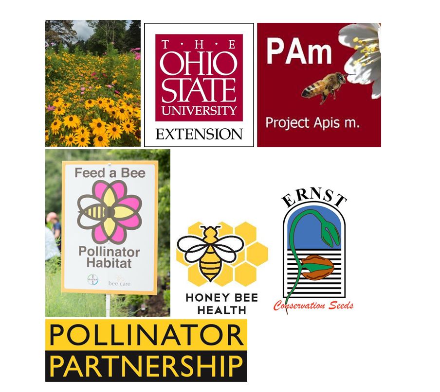 CATCH THE BUZZ – Bee Culture’s Pollinator Day. Free, Fun and Functional. The Bees Love it!!!