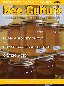 SEPTEMBER 2018 Cover