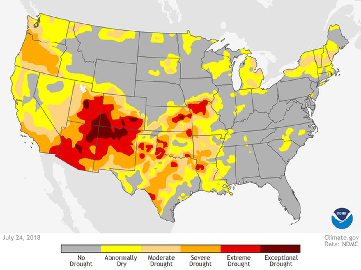 CATCH THE BUZZ – Droughts are Gripping Large Areas from Australia to South Africa, North America, Asia, Russia, Western Europe and even the United Kingdom and Ireland.