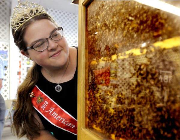CATCH THE BUZZ – Kayla Fusselman, the American Honey Queen is the National Voice For The American Beekeeping Federation, and for Honey Bees