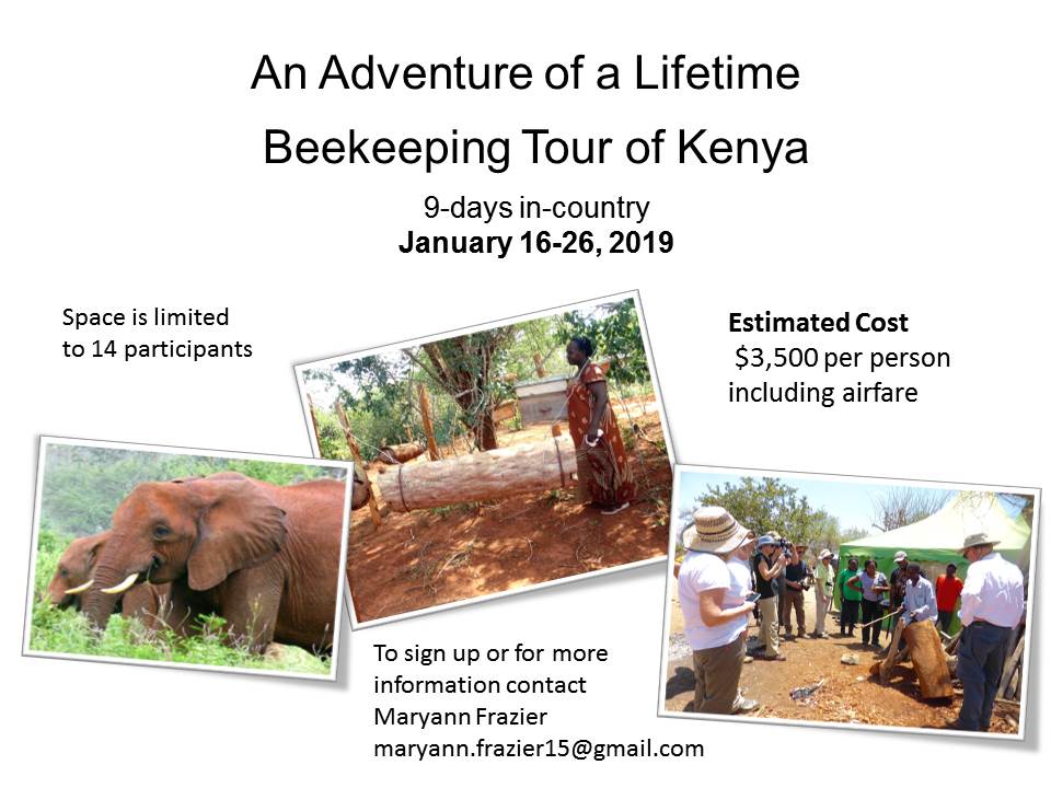 CATCH THE BUZZ – Beekeeping Tour of Kenya 2019