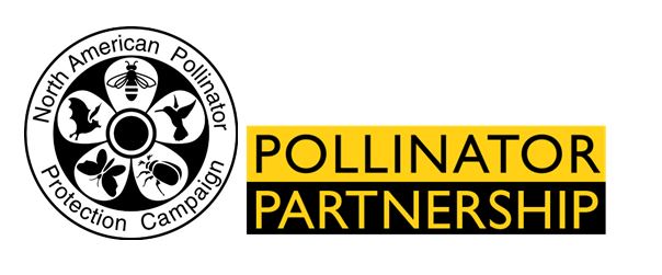 CATCH THE BUZZ – 2018 North American Pollinator Protection Campaign (NAPPC) Award Winners.