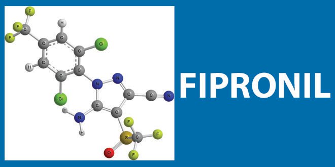 CATCH THE BUZZ – Hundreds of Colonies Killed in Australia, Killed By Fipronil, an Insecticide Commonly Used to Kill Termites.