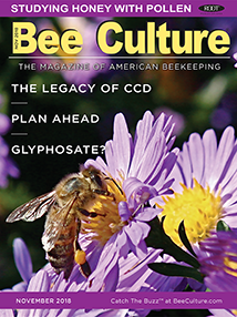 NOVEMBER 2018 Cover