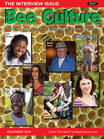 DECEMBER 2018 Cover