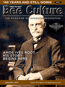 JANUARY 2019 Cover