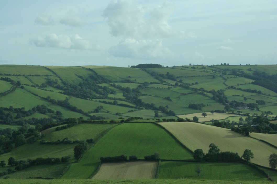 CATCH THE BUZZ – Computers Could Tell Farmers and Other Landowners Where to Most Efficiently and Cost-Effectively Plant Trees and Hedgerows for Pollinator Forage and Housing.