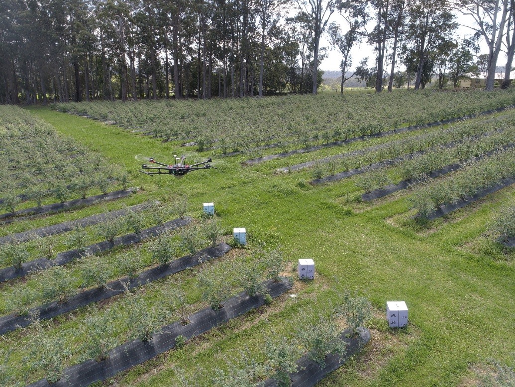 CATCH THE BUZZ – UND and Australian Company Partner to Improve Crop Yields with Better Pollination