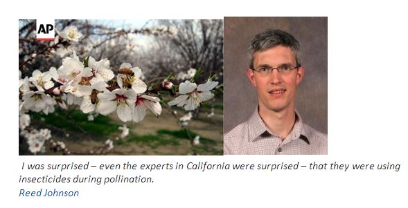 CATCH THE BUZZ – Ohio Researchers and Industry Leaders Working to Stop Insecticide Use During Bloom.