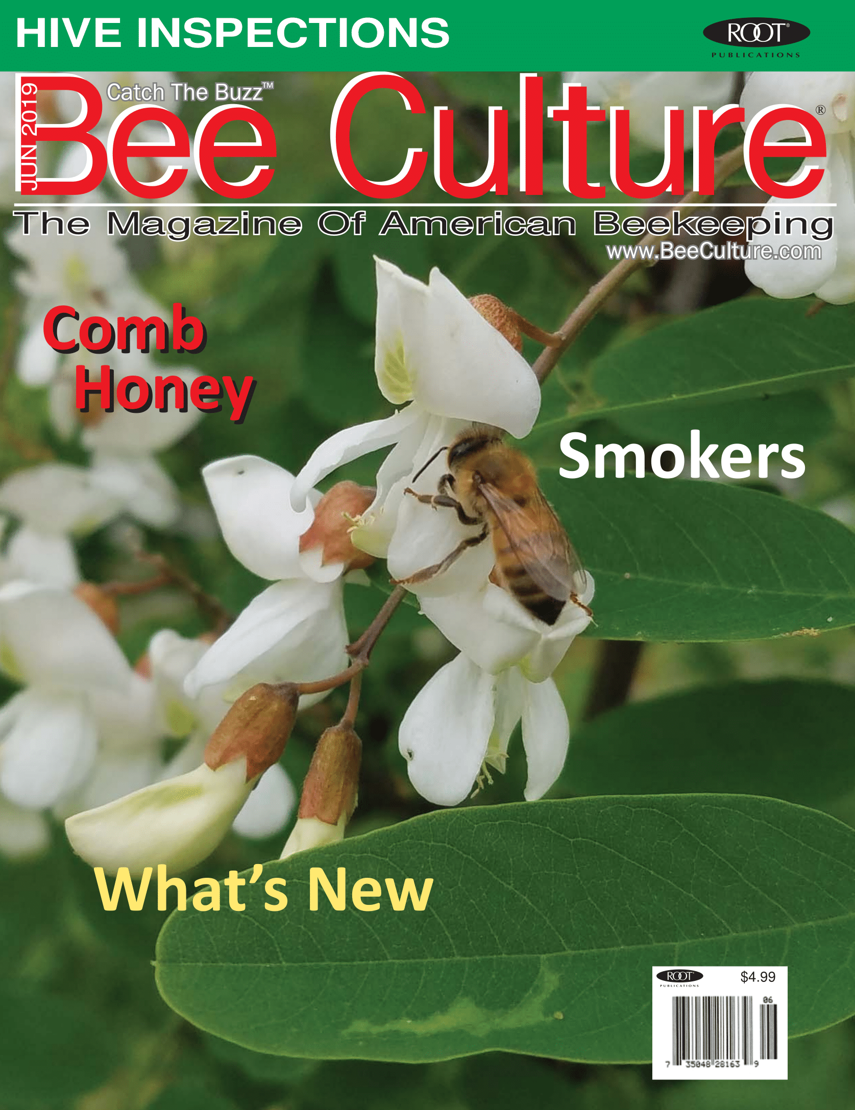 JUNE 2019 Cover