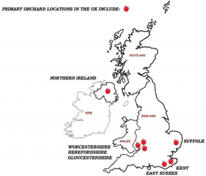 Bee Farming In The United Kingdom (From The Beginning To Now, Part 1)