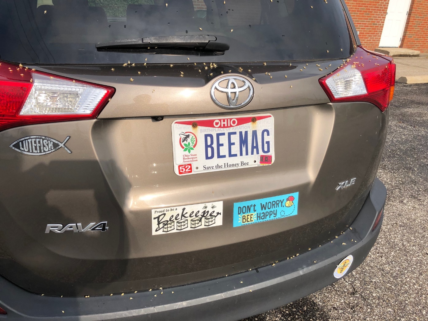 CATCH THE BUZZ – PLATE TECTONICS. Show Us Your Beekeeping Plates!!