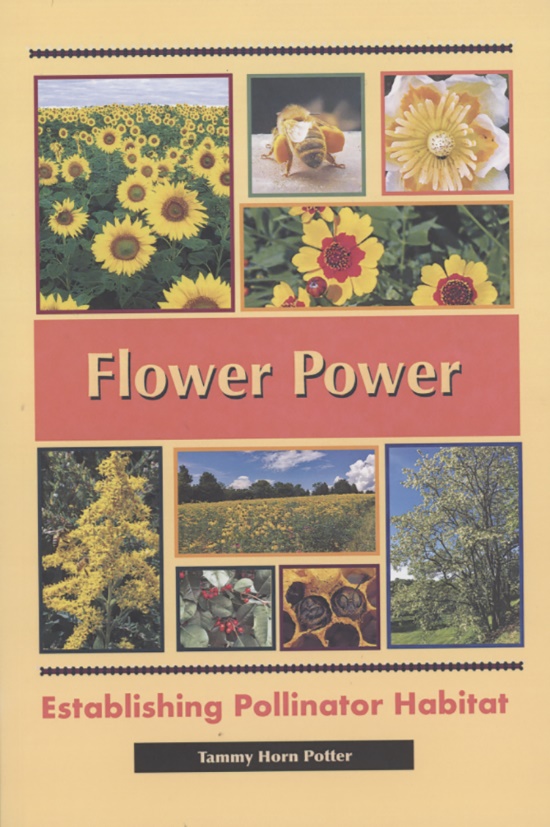 CATCH THE BUZZ – Listen to Tammy Horn Potter Talk About Her New Book Flower Power. Establishing Pollinator Habitat on www.beekeepingtodaypodcast.com