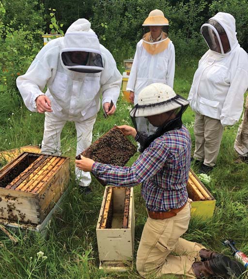IV. Benefits of Sustainable Beekeeping