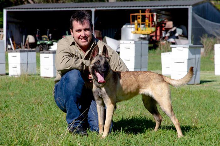 CATCH THE BUZZ- Family Pet in Training as Detector Dog to Prevent Devastating Bee Disease American Foulbrood.