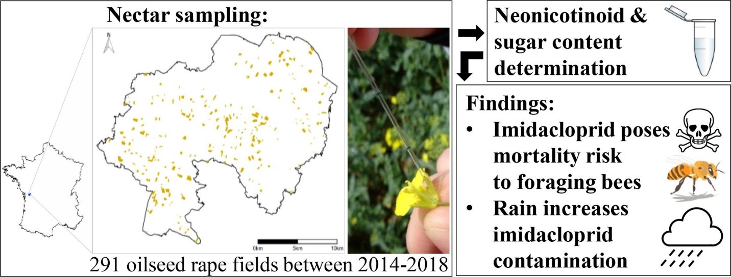 CATCH THE BUZZ- Pesticides- Cannot Eliminate Short Term Hazards