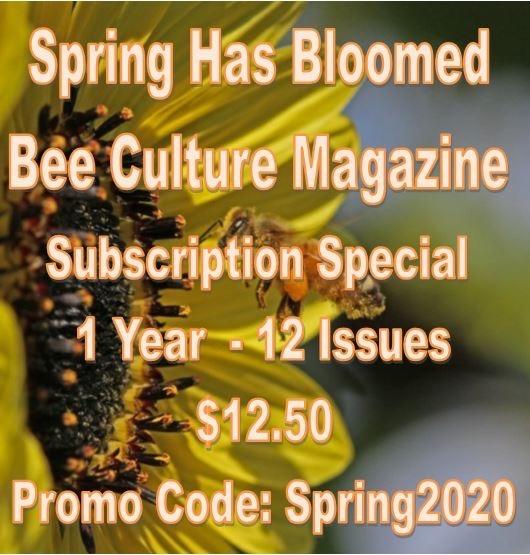 CATCH THE BUZZ – Florida Master Beekeeper Program Online