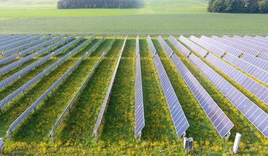 Solar Power Site Saves Bees and Butterflies