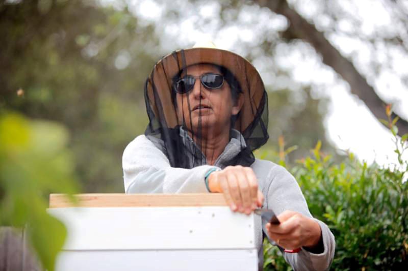 CATCH THE BUZZ- Blind Beekeeper Relies on Sound