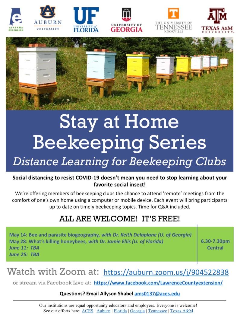 CATCH THE BUZZ – Stay at Home Beekeeping Series