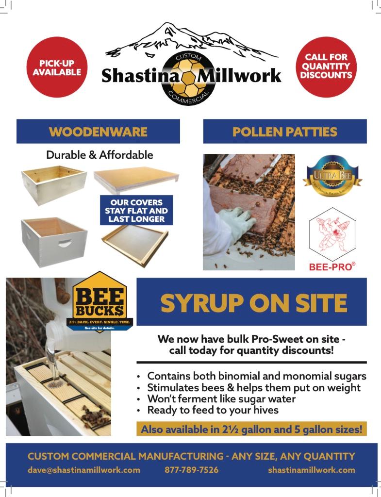 CATCH THE BUZZ Grant Funded Urban Bee Project, Student Needed Bee